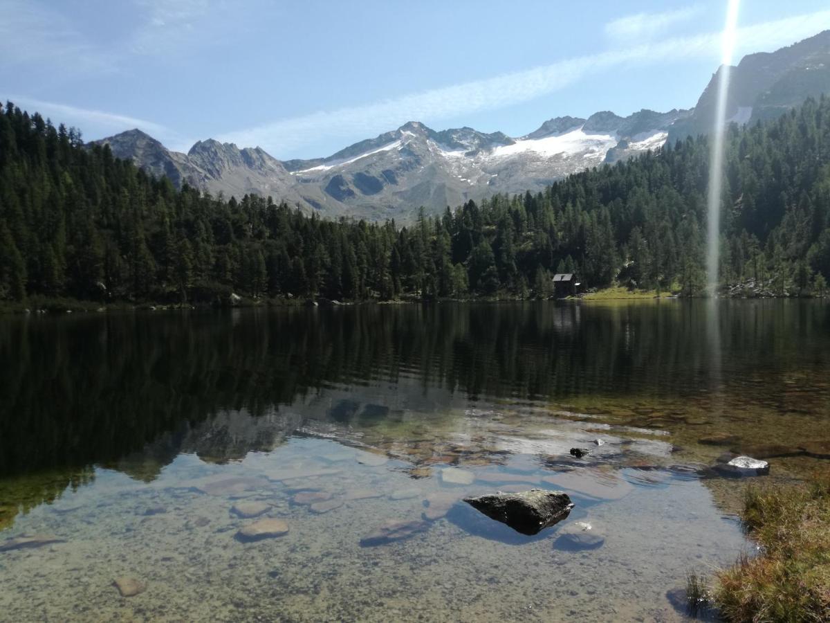 Gaestehaus Schernthaner Dorfgastein Buitenkant foto