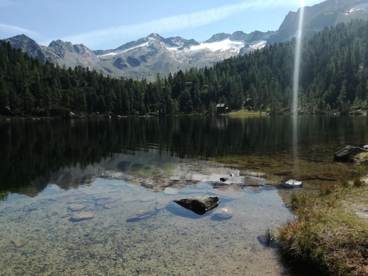 Gaestehaus Schernthaner Dorfgastein Buitenkant foto